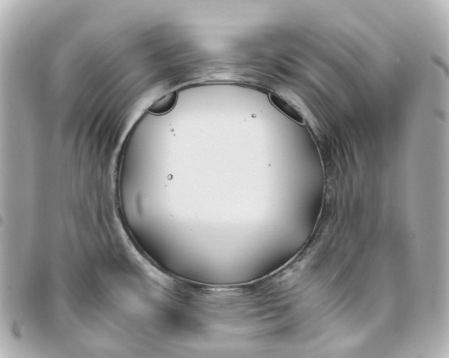 X0000095911483200802011139