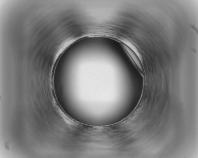 X0000095911485200802011139