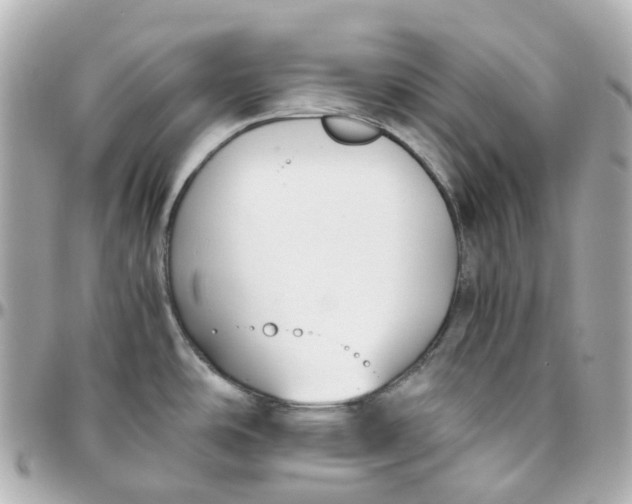 X0000095911486200802011139