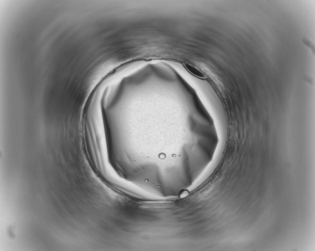 X0000095911487200802011139