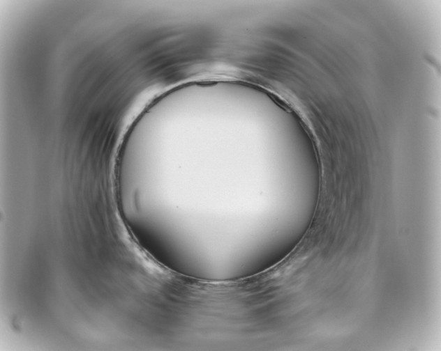 X0000095911488200802011139