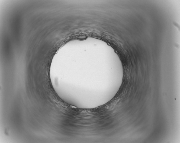 X0000095911489200802011139