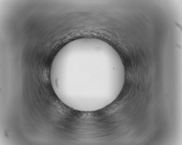 X0000095911490200802011139