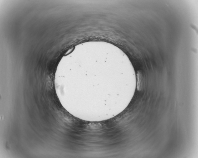 X0000095911491200802011139