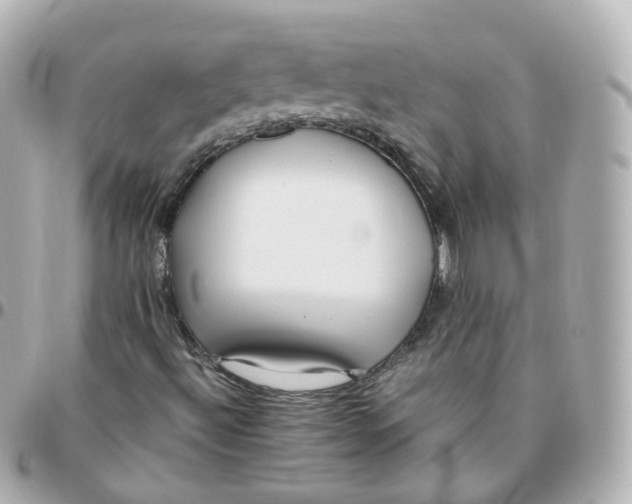 X0000095911492200802011139