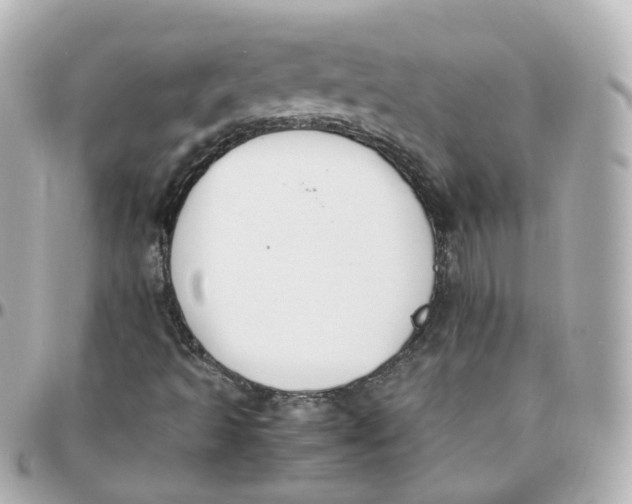 X0000095911493200802011139