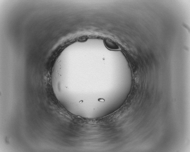 X0000095911495200802011139