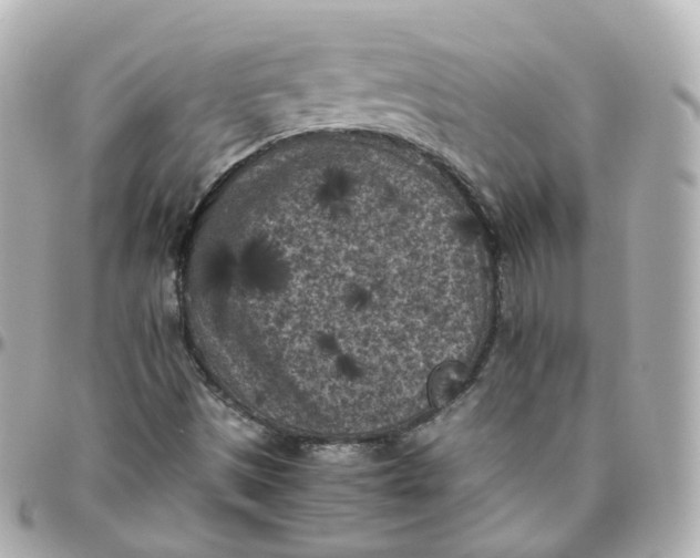 X0000095911497200802011139