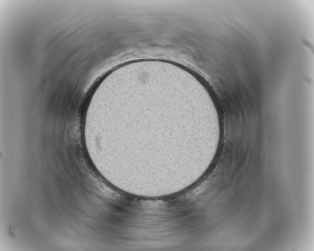 X0000095911498200802011139