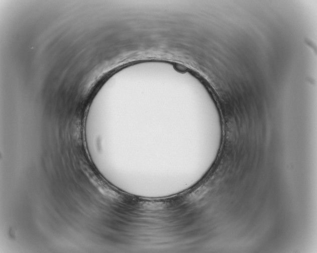 X0000095911499200802011139