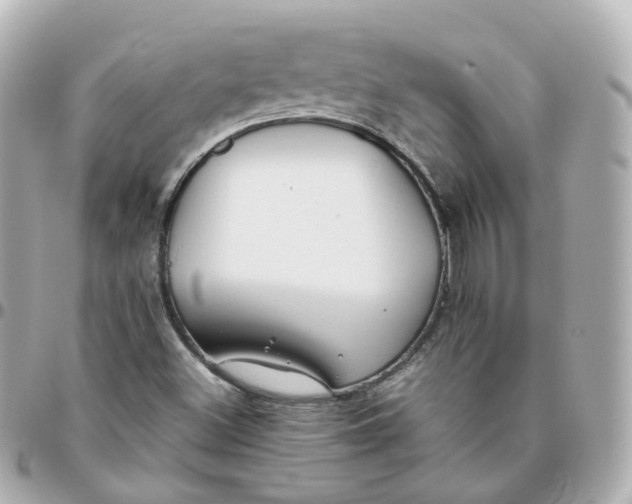 X0000095911500200802011139