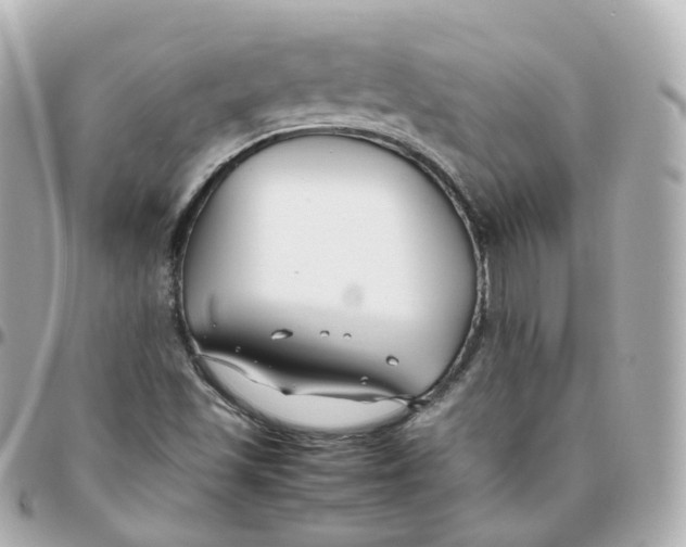 X0000095911501200802011139