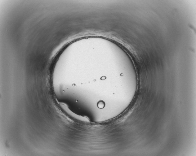 X0000095911502200802011139