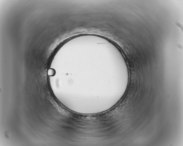 X0000095911503200802011139