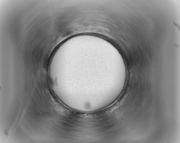 X0000095911505200802011139