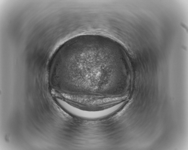 X0000095911506200802011139