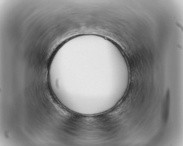 X0000095911507200802011139