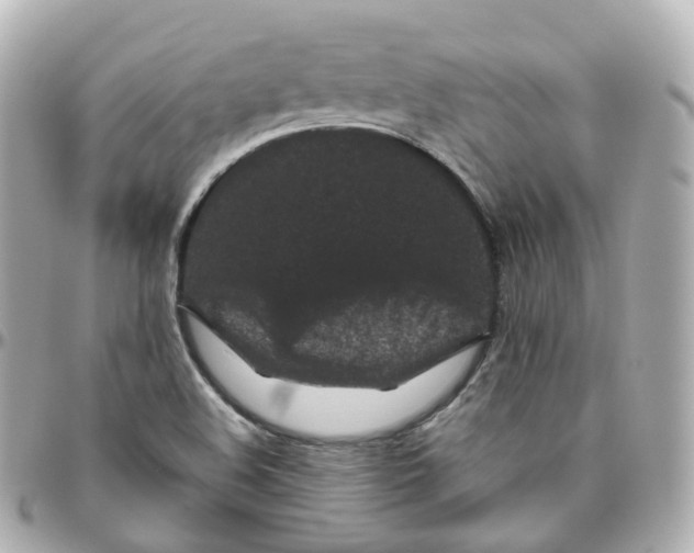 X0000095911508200802011139