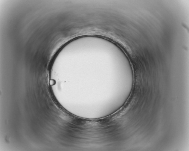 X0000095911509200802011139