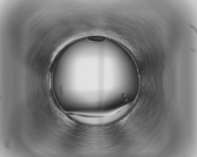 X0000095911510200802011139