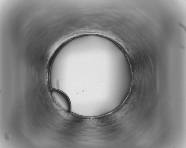 X0000095911511200802011139