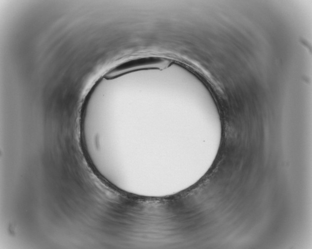 X0000095911512200802011139