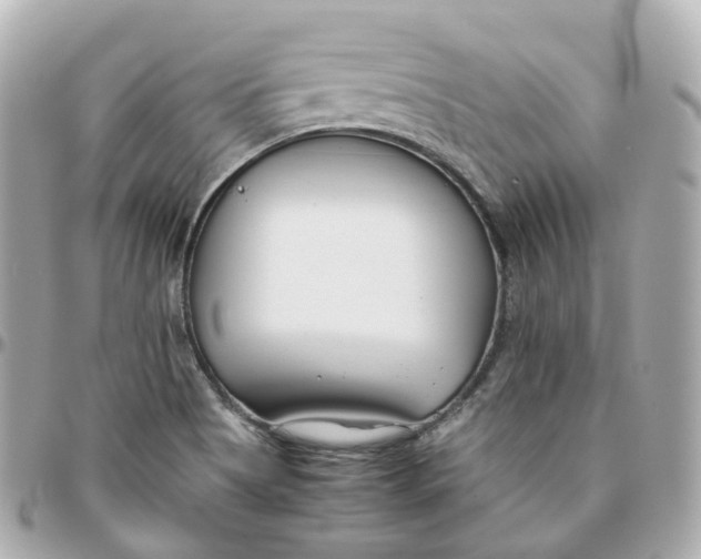 X0000095911513200802011139