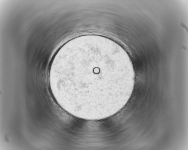 X0000095911514200802011139