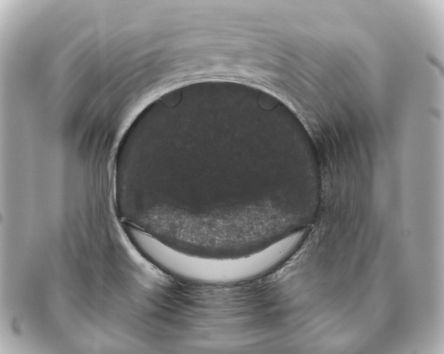 X0000095911515200802011139