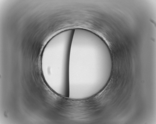 X0000095911516200802011139