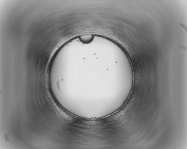 X0000095911517200802011139