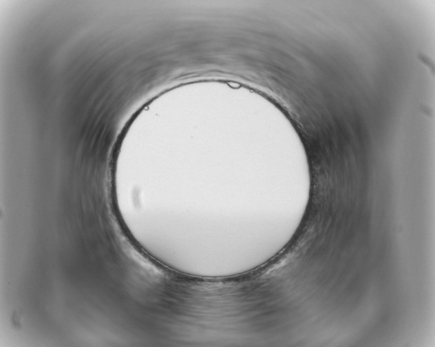 X0000095911518200802011139