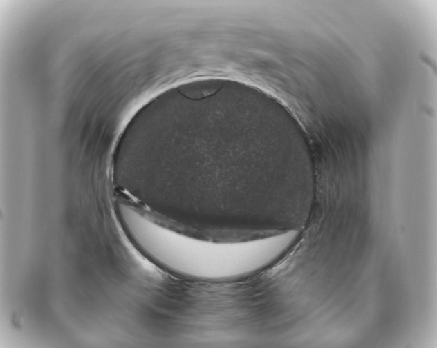 X0000095911519200802011139