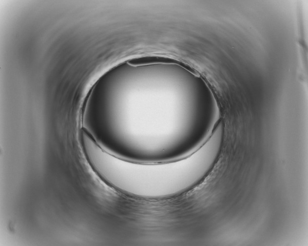 X0000095911520200802011139