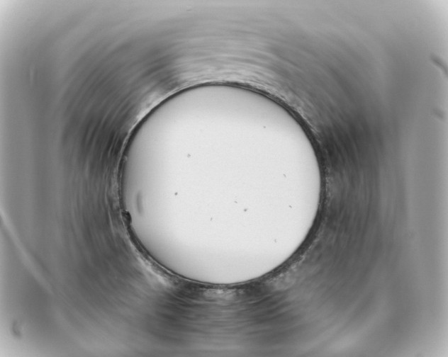 X0000095911521200802011139