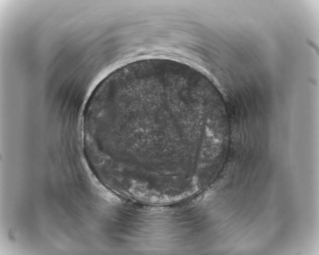 X0000095911522200802011139