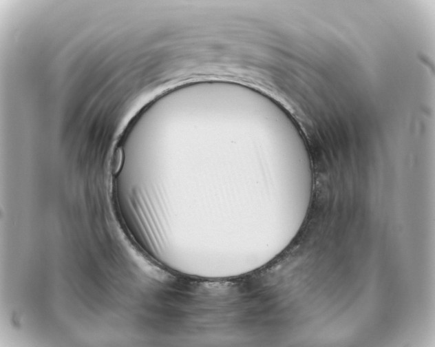 X0000095911523200802011139