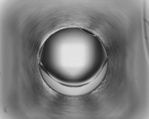 X0000095911524200802011139