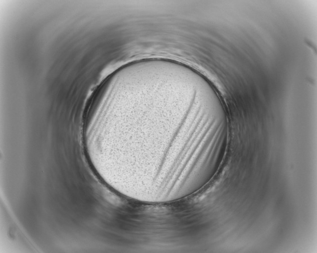 X0000095911525200802011139