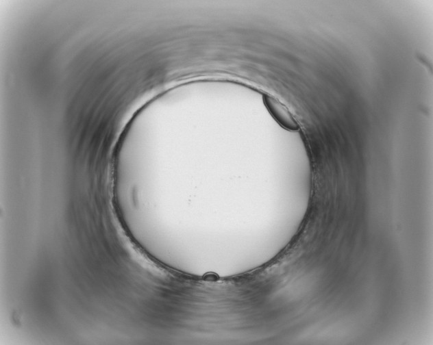 X0000095911526200802011139