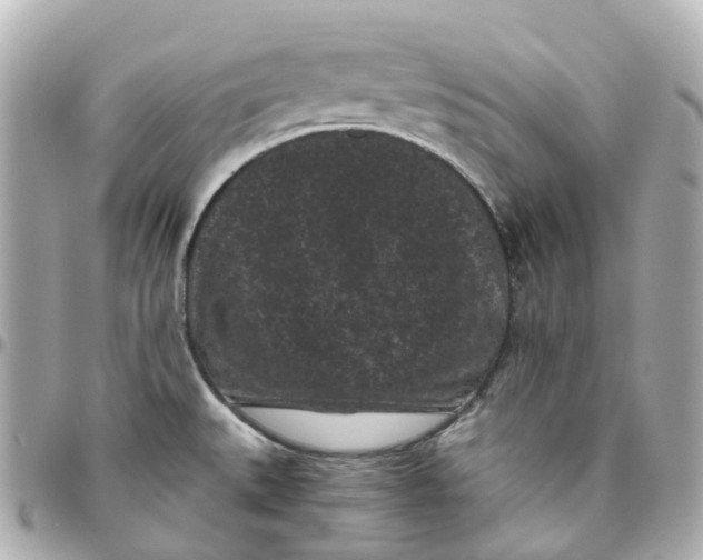 X0000095911527200802011139