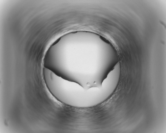 X0000095911528200802011139