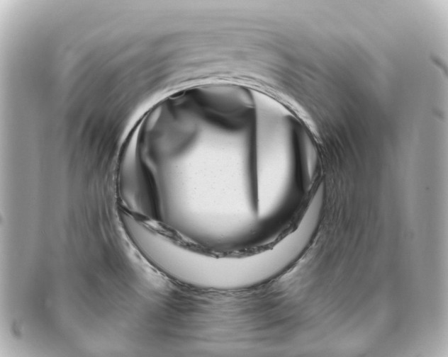 X0000095911530200802011139