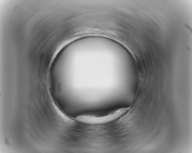 X0000095911531200802011139