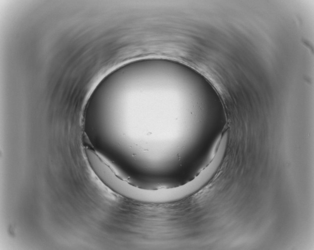 X0000095911532200802011139