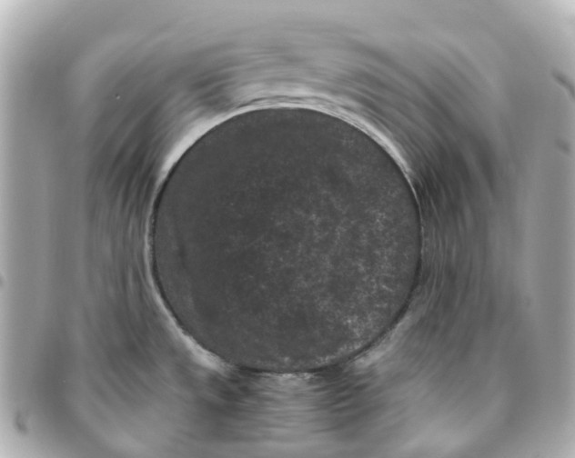 X0000095911533200802011139