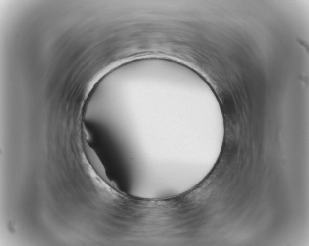 X0000095911534200802011139