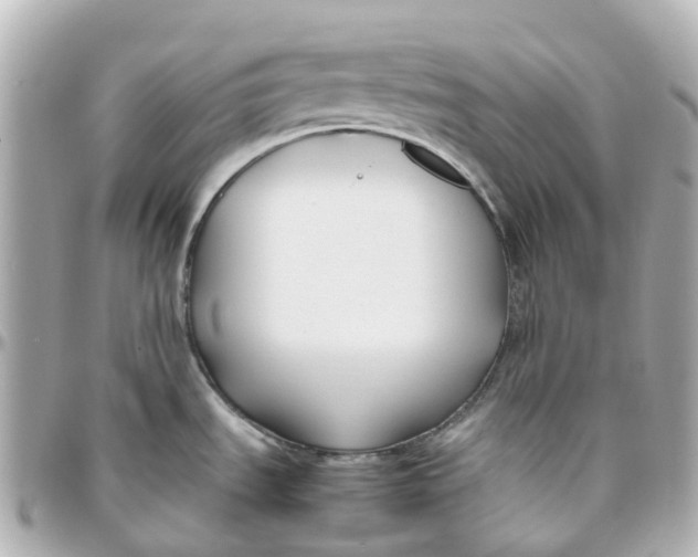 X0000095911535200802011139