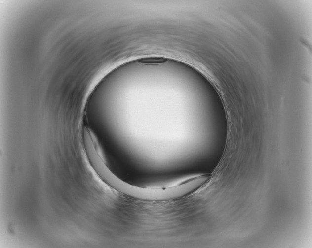 X0000095911536200802011139