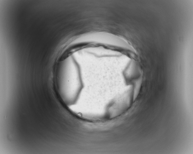 X0000095910005200802081102